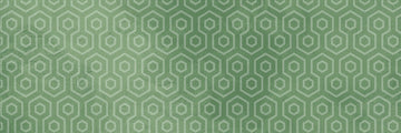 Rome Green Geo 100x300 mm Gloss