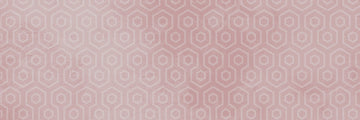 Rome Pink Geo 100x300 mm Gloss