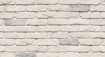 Roman Brick Arctic White RB-22Z