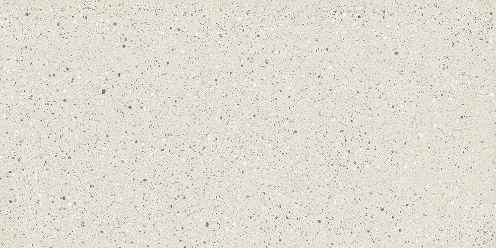 Terrazo Bianco 600x1200 mm Matt