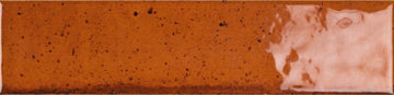 RAIN OCRE 75X300 GLOSSY