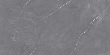 Arami Grey Endless 600x1200 mm Gloss