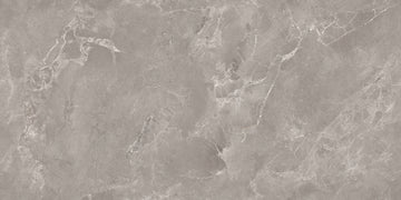 Lithos Taupe Endless 600x1200 mm Gloss