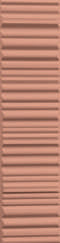 BLUSH LINE 50x200MM MATT