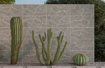 JUNO GRIS 450x900MM MATT