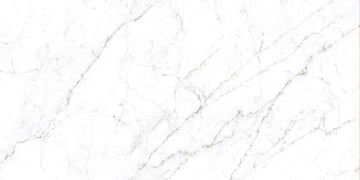 Clara White Polished 600x1200 mm Gloss