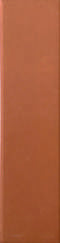 DUST TERRAE  50x200MM MATT